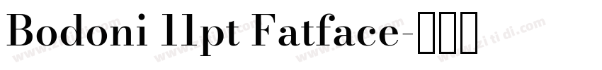 Bodoni 11pt Fatface字体转换